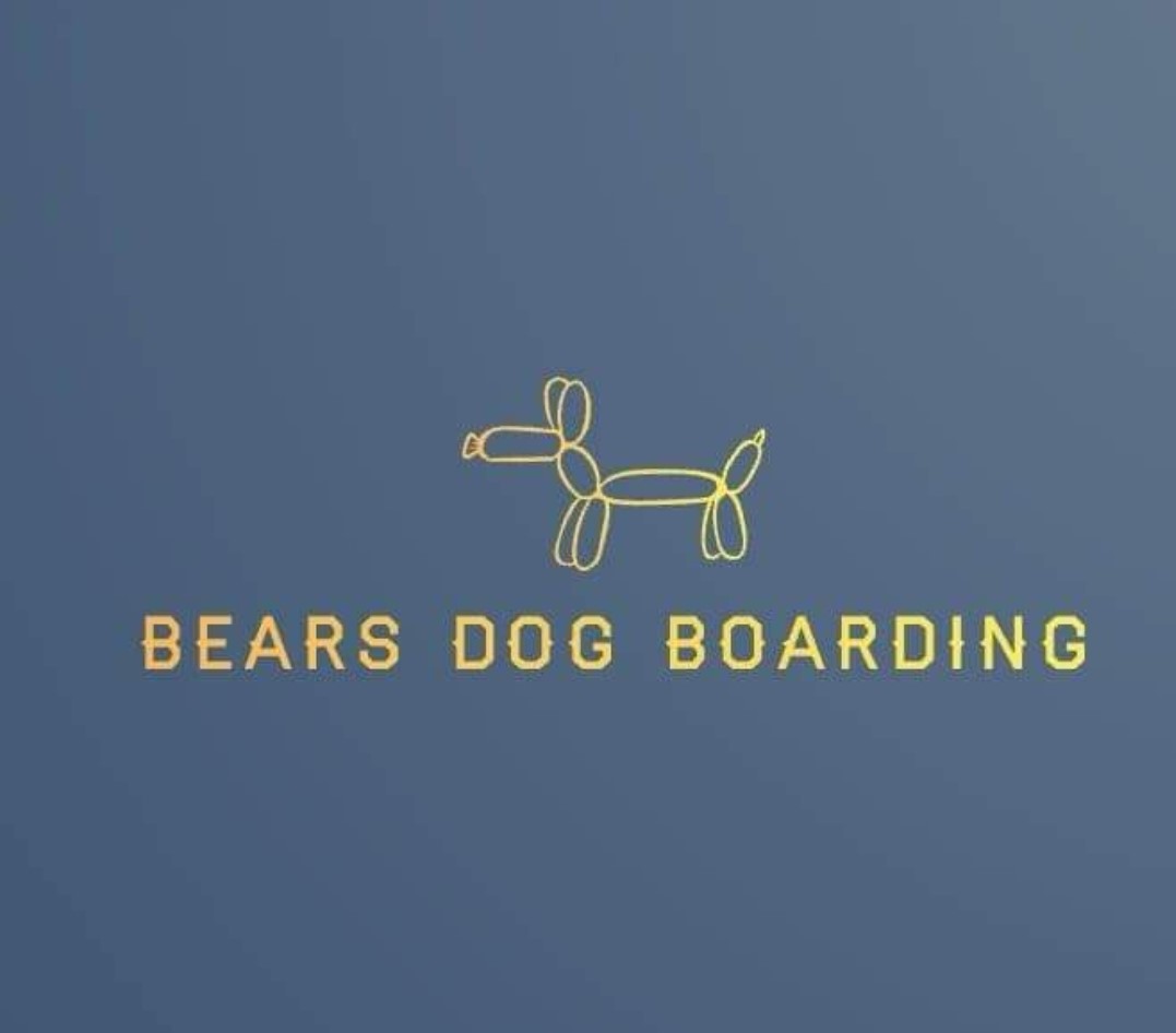 Bearsdogboarding